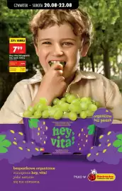Biedronka gazetka tydzień 34 Strona 80