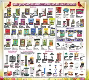 Ocean State Job Lot flyer week 34 Page 20