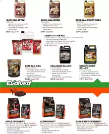 Dunham's Sports weekly ad Page 19