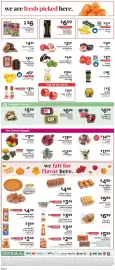 ShopRite flyer Page 10