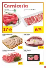 Folleto Alcampo Página 3: Cinta de lomo de cerdo en filetes €6,95, Montesano - preparado de carne picada mixta €4,99