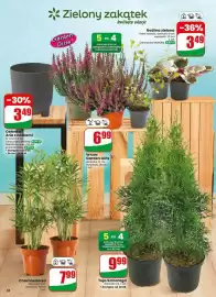 Dino gazetka tydzień 34 Strona 58
