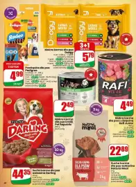 Dino gazetka tydzień 34 Strona 68
