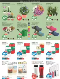 V Markt Prospekt woche 35 Seite 13