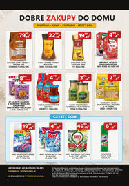 Spiżarnia Smakosza gazetka Strona 8: FAIRY KAPSUŁKI PLATINUM PLUS 59SZT LEMON €49,99, WŁOŁĄWEK KETCHUP €4,99