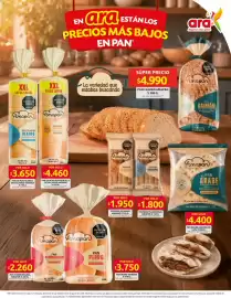 Catálogo Ara semana 34 Página 6: Amapan Tostada Integral €1.950,00, Amapan pan caimán €4.990,00