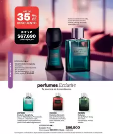 Catálogo Avon Página 100