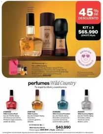 Catálogo Avon Página 101
