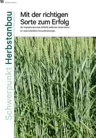 Lagerhaus Flugblatt Seite 18