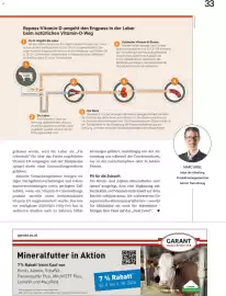 Lagerhaus Flugblatt Seite 33