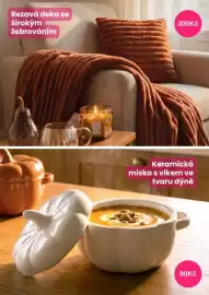 Pepco leták týden 34 Strana 7