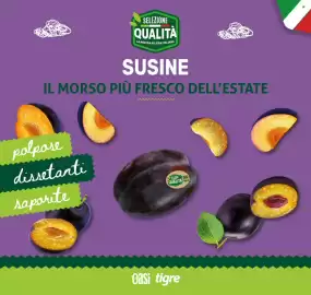 Volantino Oasi Pagina 13