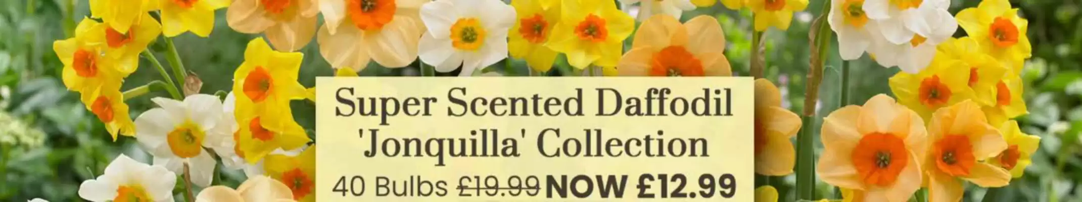 Dobbies (valid until 10-09)