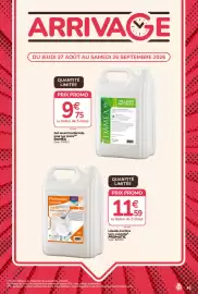 Catalogue Promocash page 43: Promatic Liquide lave-vaisselle €11,59, DAMEA Gel lavant bactéricide pour les mains €9,75