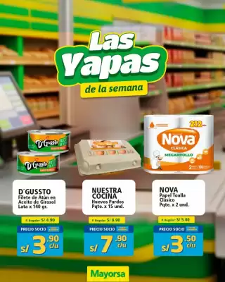 Catálogo Mayorsa (válido hasta 2-09)