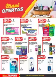 Catálogo Supermercados Comodin semana 34 Página 15