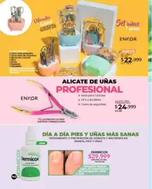 Catálogo Dolce Catálogos Página 142