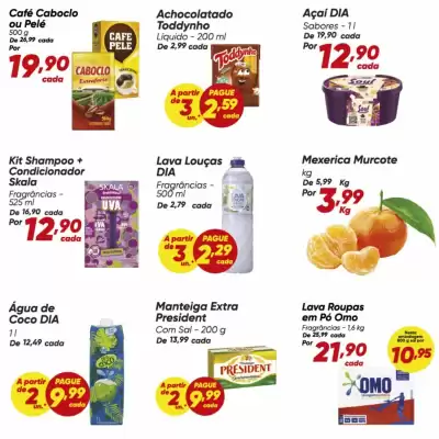 Dia (válido até 20-08)