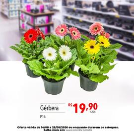 Catálogo Supermercados Condor semana 34 Página 84
