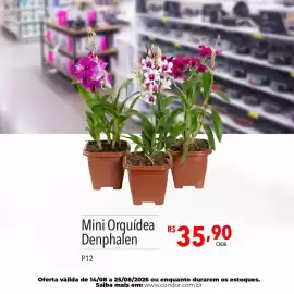 Catálogo Supermercados Condor semana 34 Página 71