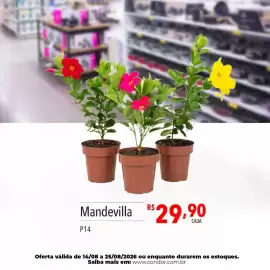 Catálogo Supermercados Condor semana 34 Página 72