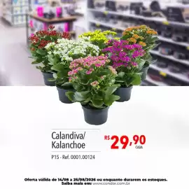 Catálogo Supermercados Condor semana 34 Página 73