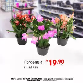 Catálogo Supermercados Condor semana 34 Página 74