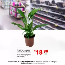 Catálogo Supermercados Condor semana 34 Página 79