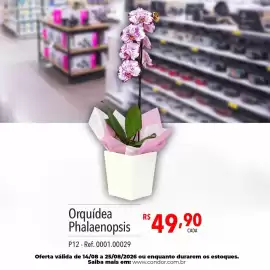 Catálogo Supermercados Condor semana 34 Página 80