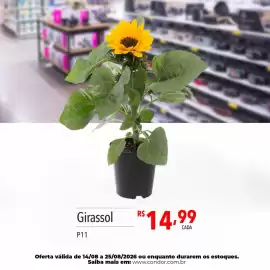 Catálogo Supermercados Condor semana 34 Página 82
