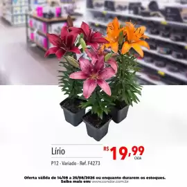 Catálogo Supermercados Condor semana 34 Página 83