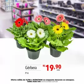 Catálogo Supermercados Condor semana 34 Página 84