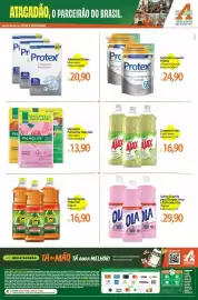 Folheto Atacadão Página 2: Pinho sol - desinfetante €16,90, Protex - sabonete €20,90