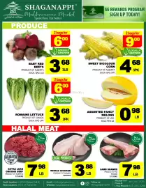 Shaganappi Mediterranean Market flyer week 34 Page 2