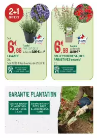 Catalogue Botanic page 9: Lavande €6,66, Collection de sauges arbustives €6,99