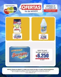 Catálogo Surtifamiliar Página 15: Barrigón jabón de lavar €6.250,00, Detergente Ariel Revitacolor €22.950,00