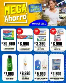 Catálogo Mercapava Página 10: Jab Protex €8.990,00, Jab Protex €3.390,00