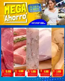 Catálogo Mercapava Página 5
