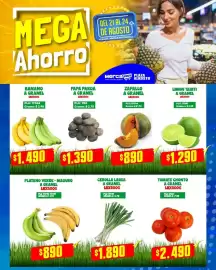 Catálogo Mercapava Página 6: Banano a granel €1.490,00, Tomate chonto €2.490,00