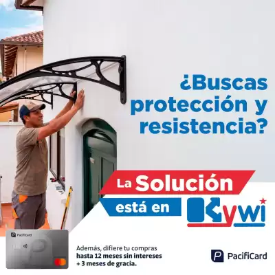 Kywi (válido hasta 25-08)