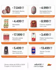 Catálogo El Milagro Mayorista semana 34 Página 7: Don gino paleta sandwichera €3.499,00, Piamontesa panceta salada €17.999,00