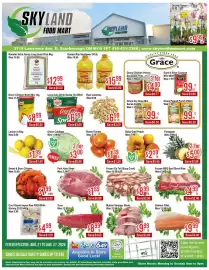 Skyland Foodmart flyer week 34 Page 1