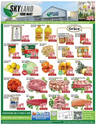 Skyland Foodmart flyer (valid until 28-08)
