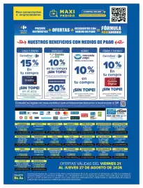 Folleto Carrefour Maxi Página 13