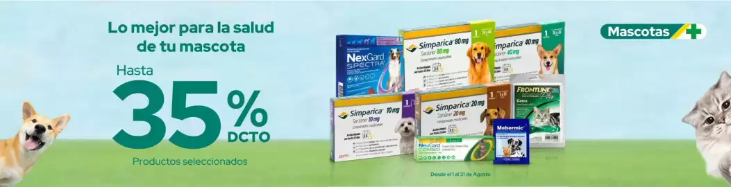 Catálogo Cruz Verde Página 6