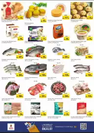 Nesto catalogue Page 14
