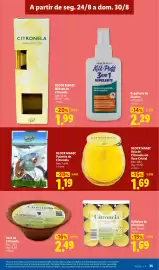 Folheto Lidl semana 35 Página 35: Velhinhas de citronela €1,69, Vaso de Citronela €2,49