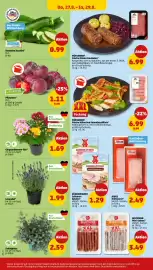 PENNY Prospekt woche 35 Seite 32