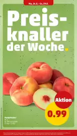 PENNY Prospekt woche 35 Seite 4