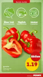 PENNY Prospekt woche 35 Seite 5